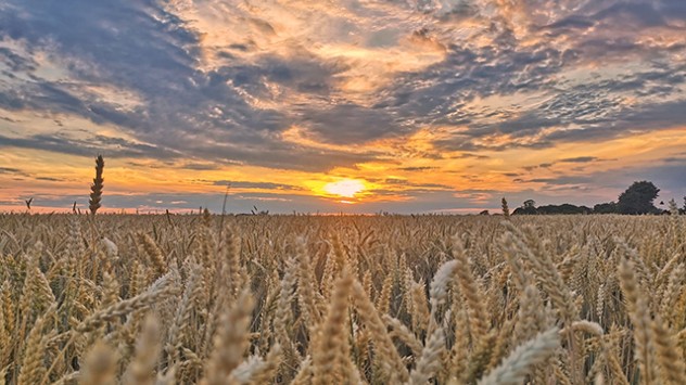 Kurz vor dem kalendarischen Sommeranfang überrollt uns die erste Hitzewelle des Jahres. 