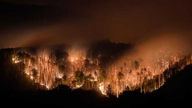In einigen Regionen Ostdeutschlands herrscht Ausnahmezustand. In Brandenburg und Sachsen sind Waldbrände außer Kontrolle geraten. 