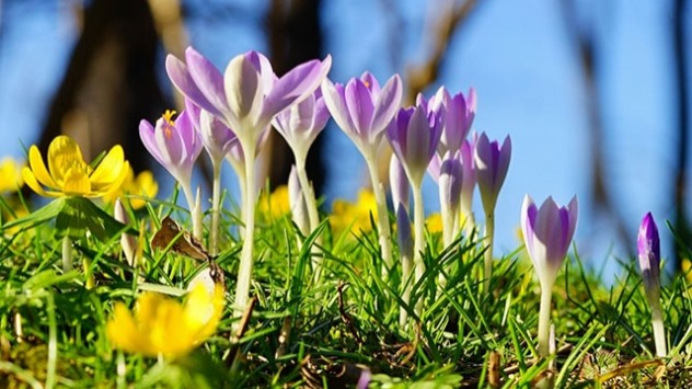 Der Februar 2022 gehört zu den wärmsten der vergangenen 30 Jahre. Kalte Winterluft und Schnee können sich nicht durchsetzen. 