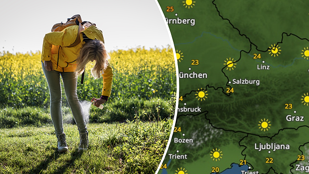 Links eine Person, die sich mit Insektenspray einsprüht, rechts das WetterRadar