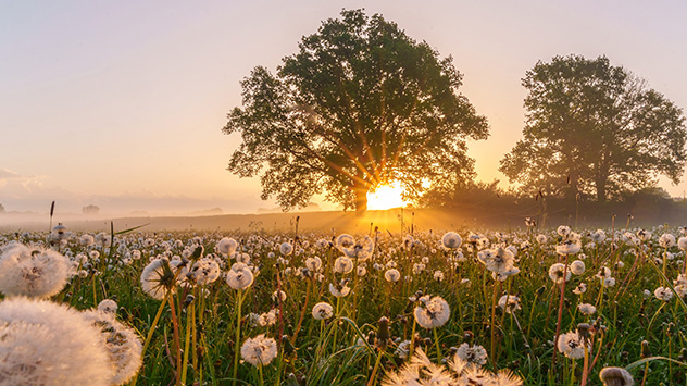 1ef49165-a62e-6d6e-be64-27b6282f1932 - © Ann-Katrin Schiweck ts