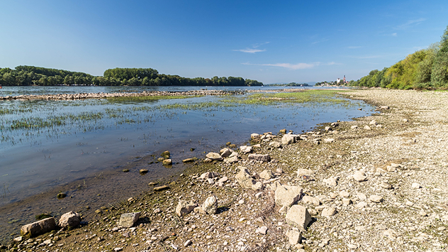 Fluss mit wenig Wasser