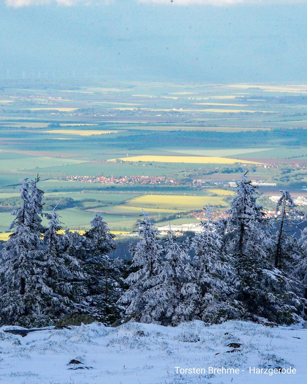 Verschneiter Brocken über gelb blühenden Rapsfeldern im Harzvorland.