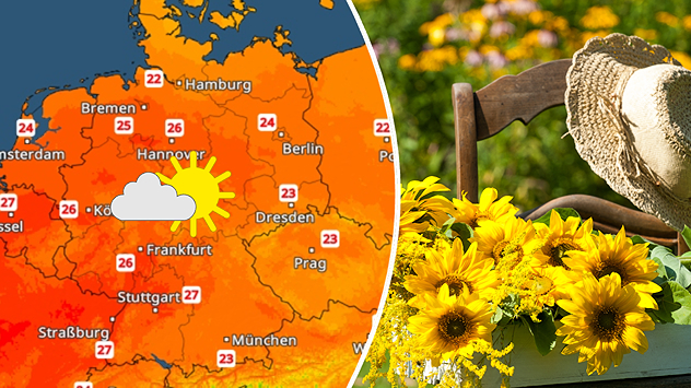 Geteilte Grafik: Links ist eine Deutschlandkarte mit den Höchsttemperaturen für den kommenden Tag zu sehen. In weiten Teilen des Landes werden 22 bis 27 Grad erwartet. Die höchsten Werte mit bis zu 27 Grad liegen im Südwesten, im Norden werden meist 22 bis 25 Grad erreicht. Über der Mitte Deutschlands zeigt ein Wetter-Symbol Sonne mit einer kleinen Wolke – dort wird freundliches, zeitweise leicht bewölktes Wetter angedeutet. Rechts zeigt ein herbstlich dekoriertes Gartenmotiv: Auf einem Holztisch stehen leuchtend gelbe Sonnenblumen und gelbe Blüten in einer Vase. Daneben liegt ein heller Strohhut auf der Rückenlehne eines Holzstuhls. Die Szene ist sonnig und vermittelt spätsommerliche beziehungsweise frühe herbstliche Stimmung.