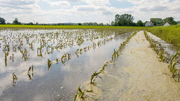 Überflutetes Feld in Bayern