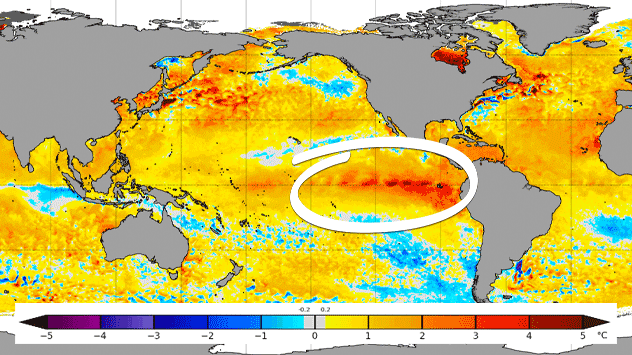 Die Karte zeigt die Temperaturen der Meeresoberfläche und deren Abweichungen zum Mittel (Anomalien).