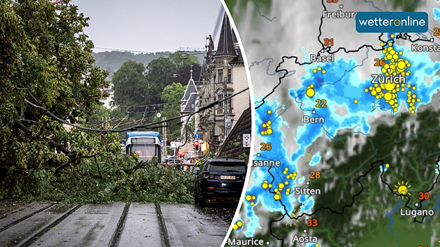Umgestürzter Baum auf einer Straße in Zürich nach einem Gewitter. Daneben WetterRadar mit Gewittern und zahlreichen Blitzsymbolen über der Schweiz.