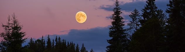 At full moon, the sun, earth and moon are in alignment.