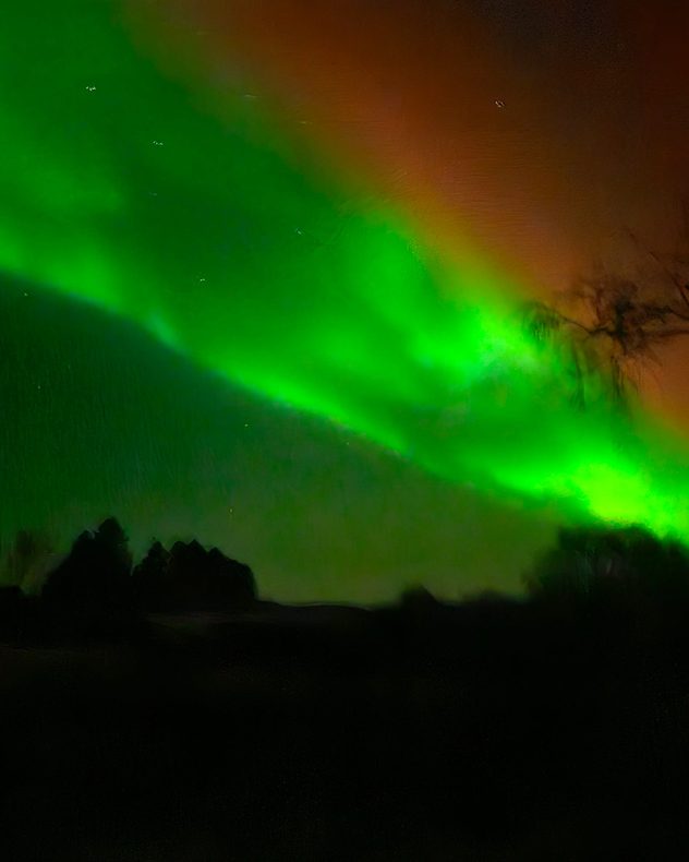 Bright green aurora arc sweeping across a dark night sky, with faint stars visible and black silhouettes of trees and low hills along the horizon.