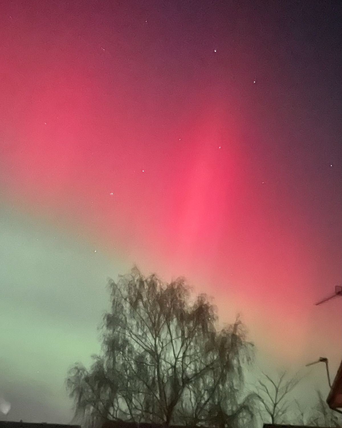 Night sky glowing with vivid red aurora above and soft green aurora below, dotted with small stars and framed by the silhouette of a leafless tree and rooftops at the bottom.