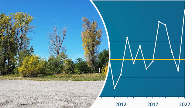 1ef41e11-5907-6dfa-a7c8-936ae97328c1 Sommerrückblick - rekordsonnig und Dürre