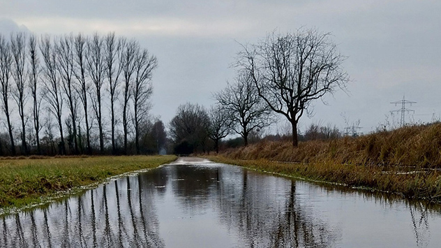 © Heike Fahr via WetterMelder Deutschland Fluss vor grauen Himmel und kahlen Bäumen