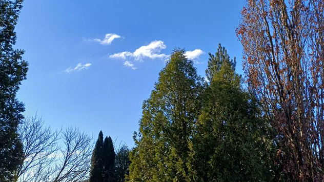 © Susanne Martina Dimter via WetterMelder Deutschland Blauer Himmel und Bäume