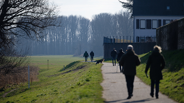 © dpa Sonntagsspaziergang bei Sonnenschein in Köln
