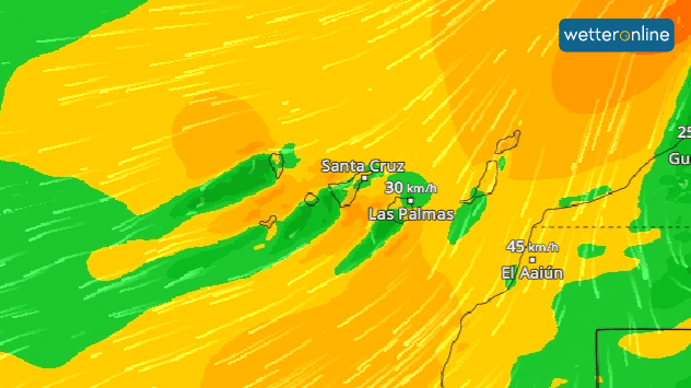 Auf den Kanaren weht derzeit ein stürmischer Passatwind. Die Gebirge auf den Urlaubsinseln schützen allerdings dabei die Südküste.