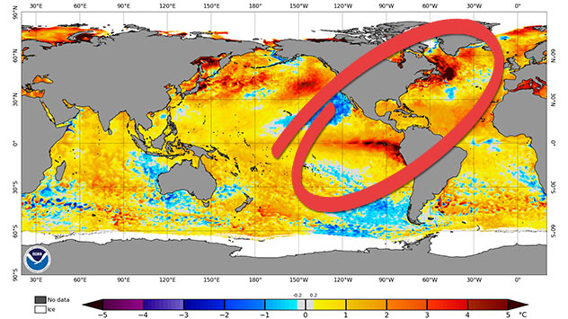 Meerestemperatur Anomalien