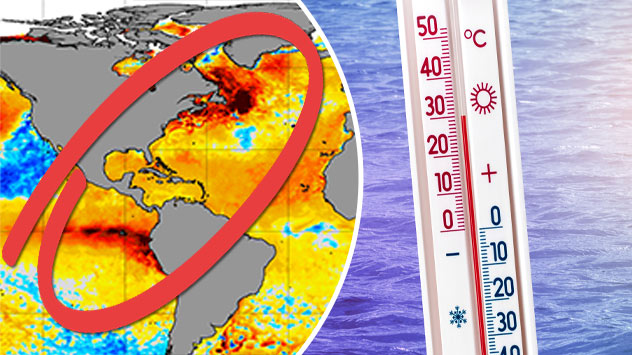 Weltweit hohe Meeresoberflächentemperaturen 