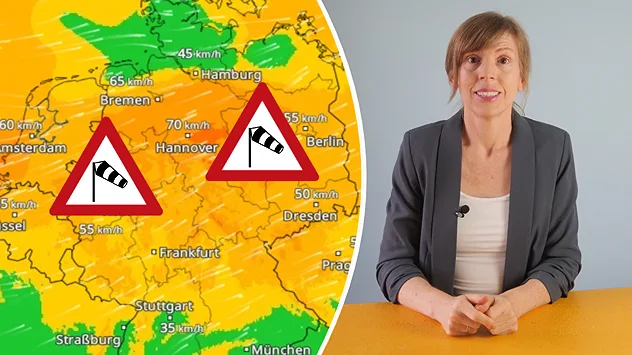 Zu sehen ist eine Wettergrafik für Deutschland mit kräftigem Wind. Mehrere Windgeschwindigkeiten zwischen etwa 45 und 70 km/h sind eingezeichnet. Zwei Warnschilder mit Windsack-Symbol weisen auf stürmische Böen hin. Rechts daneben sitzt eine Wettermoderatorin an einem Tisch.