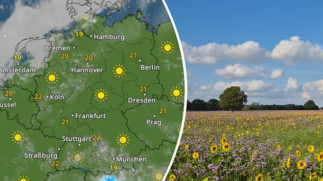 Splitbild. Links eine Wetterkarte von Deutschland mit Wolken und Temperaturen. Rechts eine Wiese im Herbst mit Sonnenblumen und blauem Himmel.