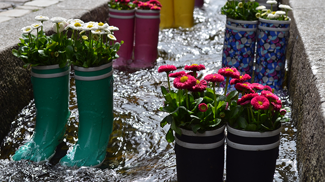 Bunte Gummistiefel mit blühenden Blumen stehen im fließenden Wasser eines Bächles in Freiburg.