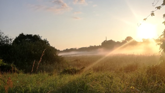 Nebelschwaden an einem Sommermorgen - © Kerstin Hippel via WetterMelder Deutschland Morgendliche Nebelschwaden über Feld