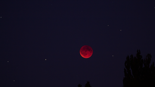Roter Mond während einer Finsternis, umgeben von Sternen. Im Vordergrund sind Silhouetten von Bäumen sichtbar.