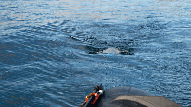 Insgesamt strömen 500 Liter Wasser durch das Netz.