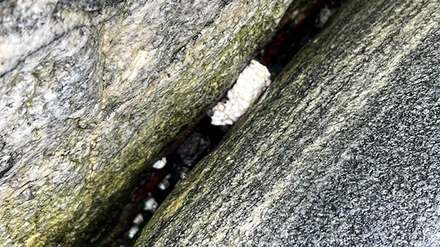 Auch Styropor lagert sich in den kleinsten Nischen ab. 