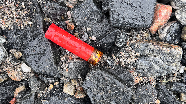 Die Jagd in Grönland führt ebenfalls zu Müll und damit auch zu Plastikkontamination. 