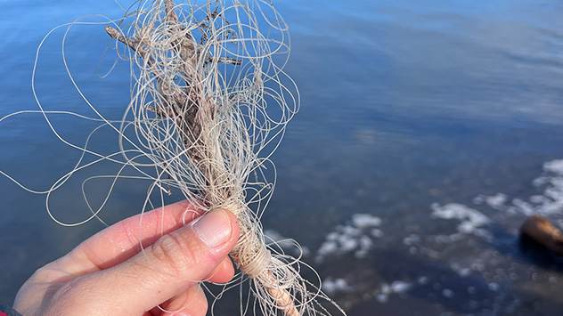 Wenige Minuten nach Beginn der Reise in der Nordwestpassage wird bereits Plastik gefunden.