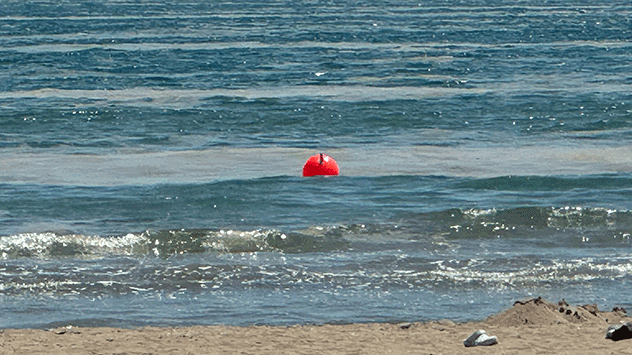 Ein gräulicher, glibberiger Teppich treibt an manchen Tagen auf der Adria. Das Phänomen wird in Italien "Mucillagine" genannt.
