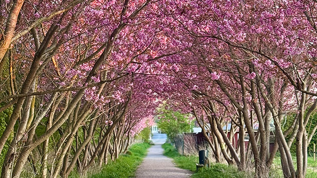 April-Rückblick mit den schönsten Bilder des Monats.