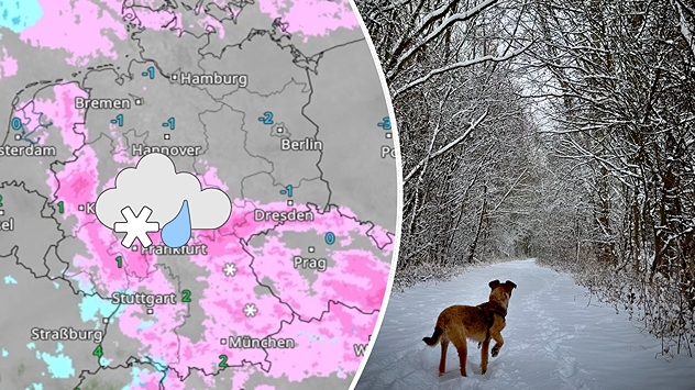 Geteilte Grafik: links eine WetterRadar-Karte mit Schnee und Regen, rechts ein Hund auf verschneitem Waldweg in Giesen am 28. Januar 2026.