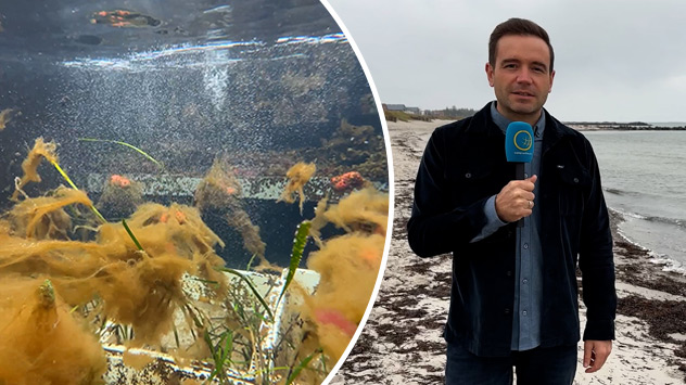 WetterReporter Marco Kaschuba geht den Folgen des Klimawandels in unseren Ozeanen nach.