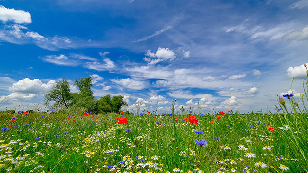 © Gabriele Klein 13