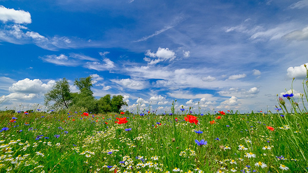 1ef40953-aff9-61a4-87b1-7f0194cb5617 - © Gabriele Klein ts