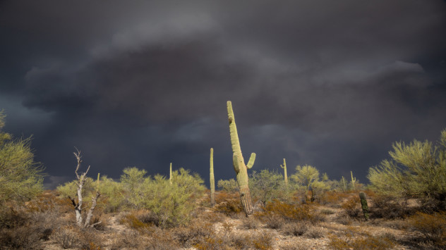 North American Monsoon in the desert