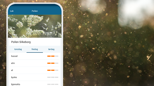 Vejrapp med pollenprognose for Silkeborg kombineret med synlig pollen i luften i sollys.