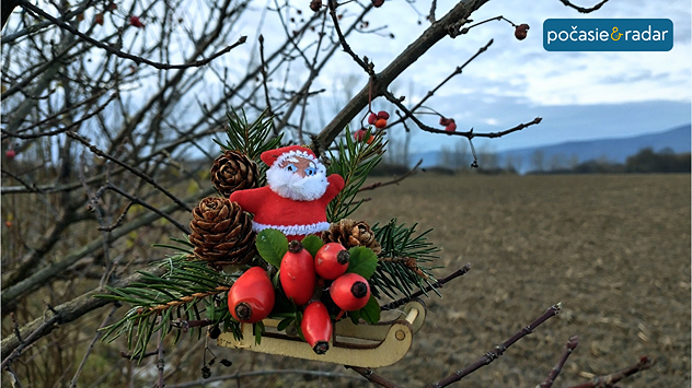 Figúrka Mikuláša na malých sánkach so šípkami naaranžovaná v kriakoch na poli. V pozadí zamračená obloha.