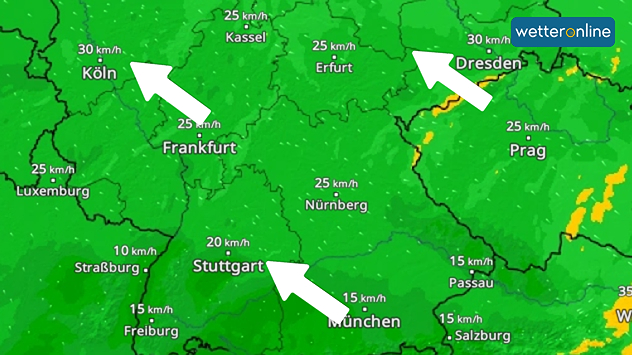 WindRadar für Freitag