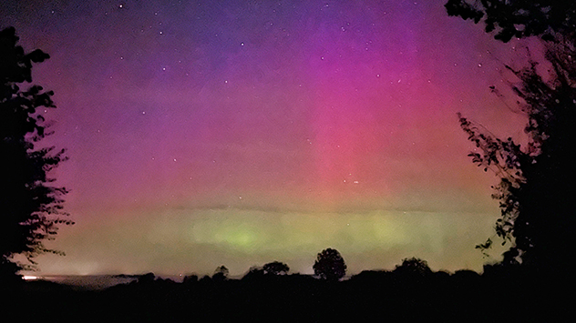 © Monique Marxen Von grünen über rötliche bis hin zu violetten Tönen waren alle Farbnuancen vertreten.