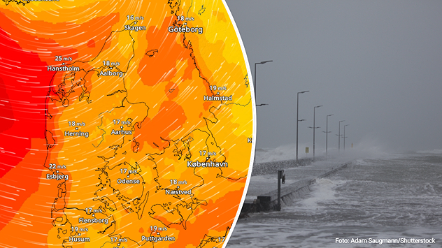 VejrRadar med kraftig blæst over Danmark og bølger, der slår ind over en mole.