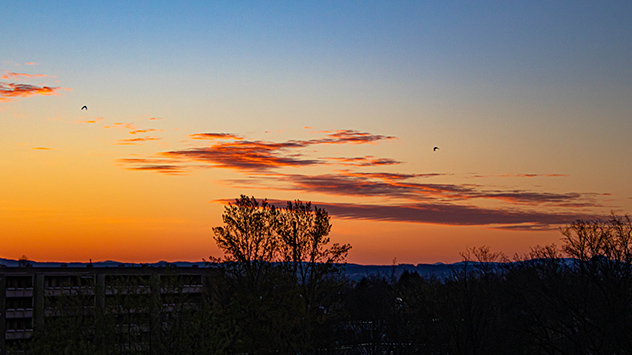 Morgenrot über Dresden