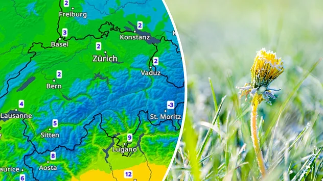 Splitbild. Links eine Karte der Schweiz mit Temperaturwerten - rechts ein Löwenzahn mit Eis überzogen.