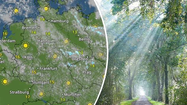 WetterRadar mit Sonne und Wolken bei 13 bis 17 Grad. Daneben eine sonnendurchflutete Baumallee.