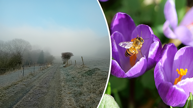 Zwischen Frühling und Winter