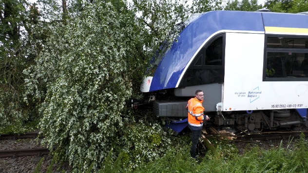 Zug auf umgestürzten Baum aufgefahren