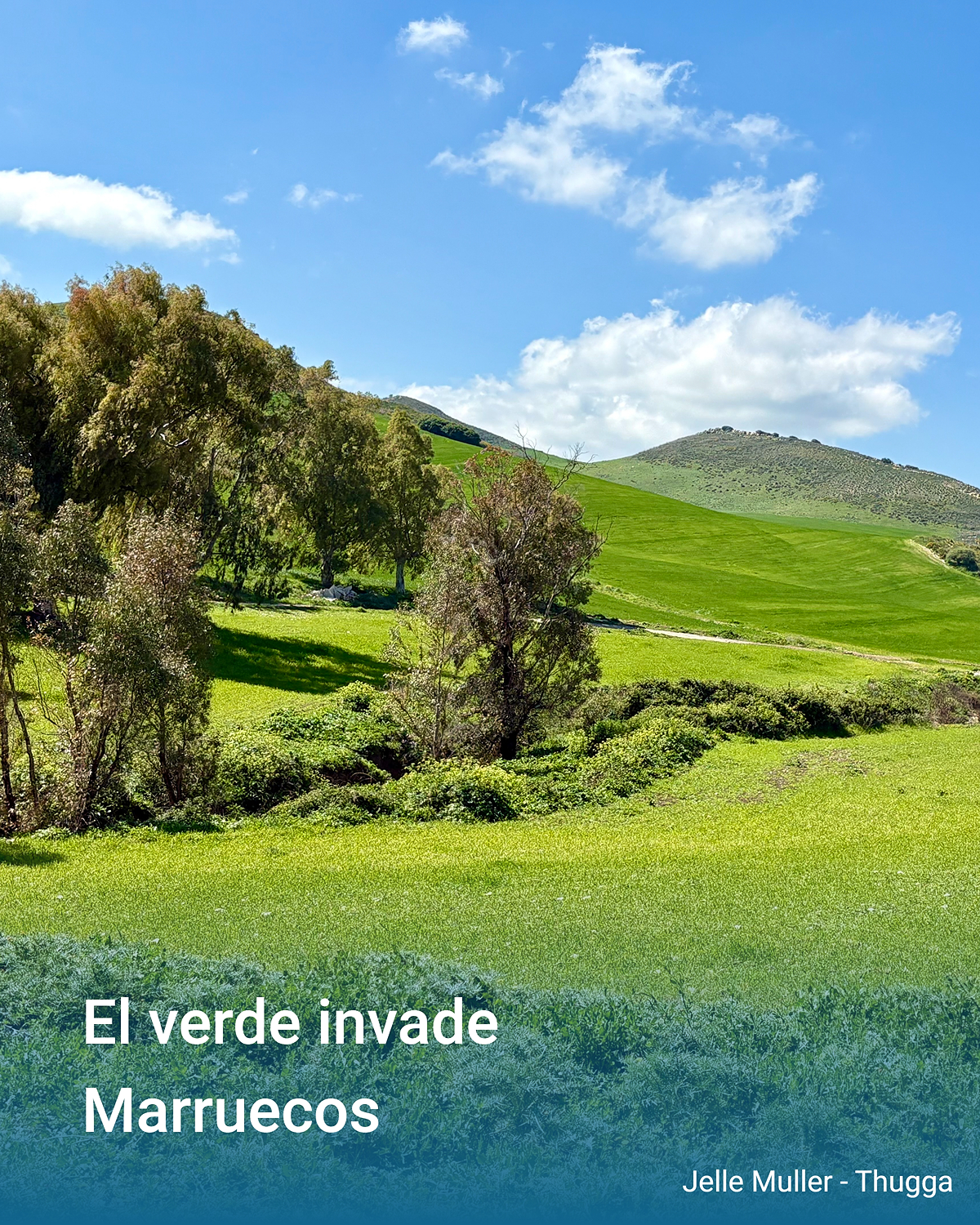 Colinas verdes con campos y árboles bajo un cielo azul con algunas nubes.