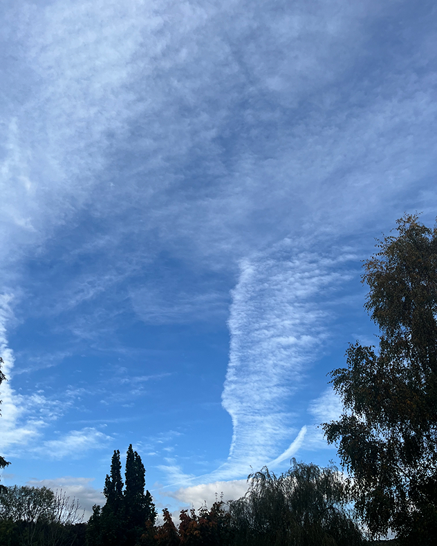 A broad band of rippled white altocumulus clouds stretches across a blue sky, with a sharp cloud edge above silhouetted trees.