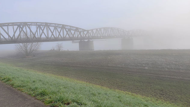 Morgennebel im Salzlandkreis in Sachsen-Anhalt
